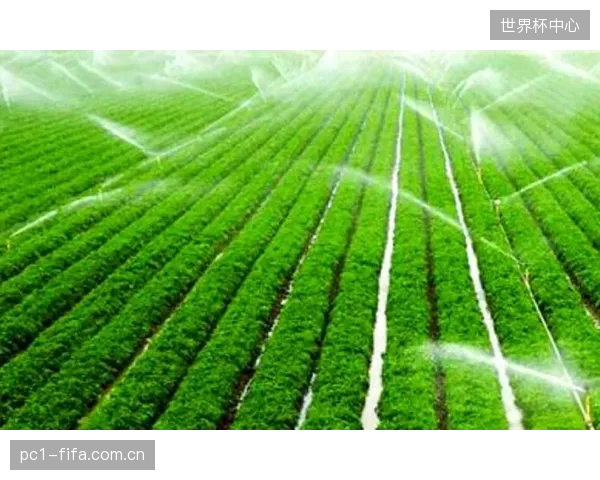通过应用精准灌溉技术，超过40%获得绿色金融支持的高尔夫球场实现了用水效率的大幅提升